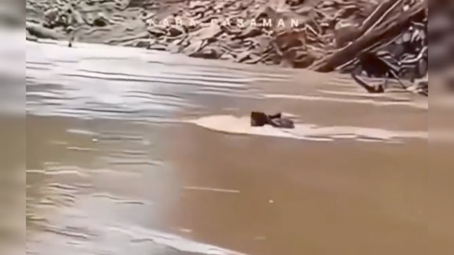 Bidan di Sumbar menyebrangi sungai. [Istimewa]